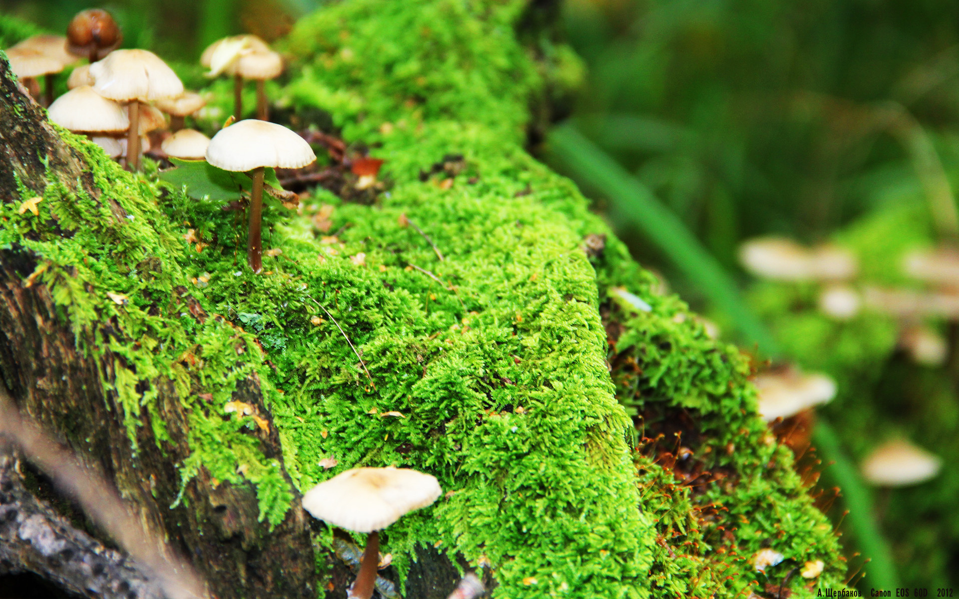 乒乓球中国公开赛开战在即,乒乓球中国公开赛开战在即几点开始