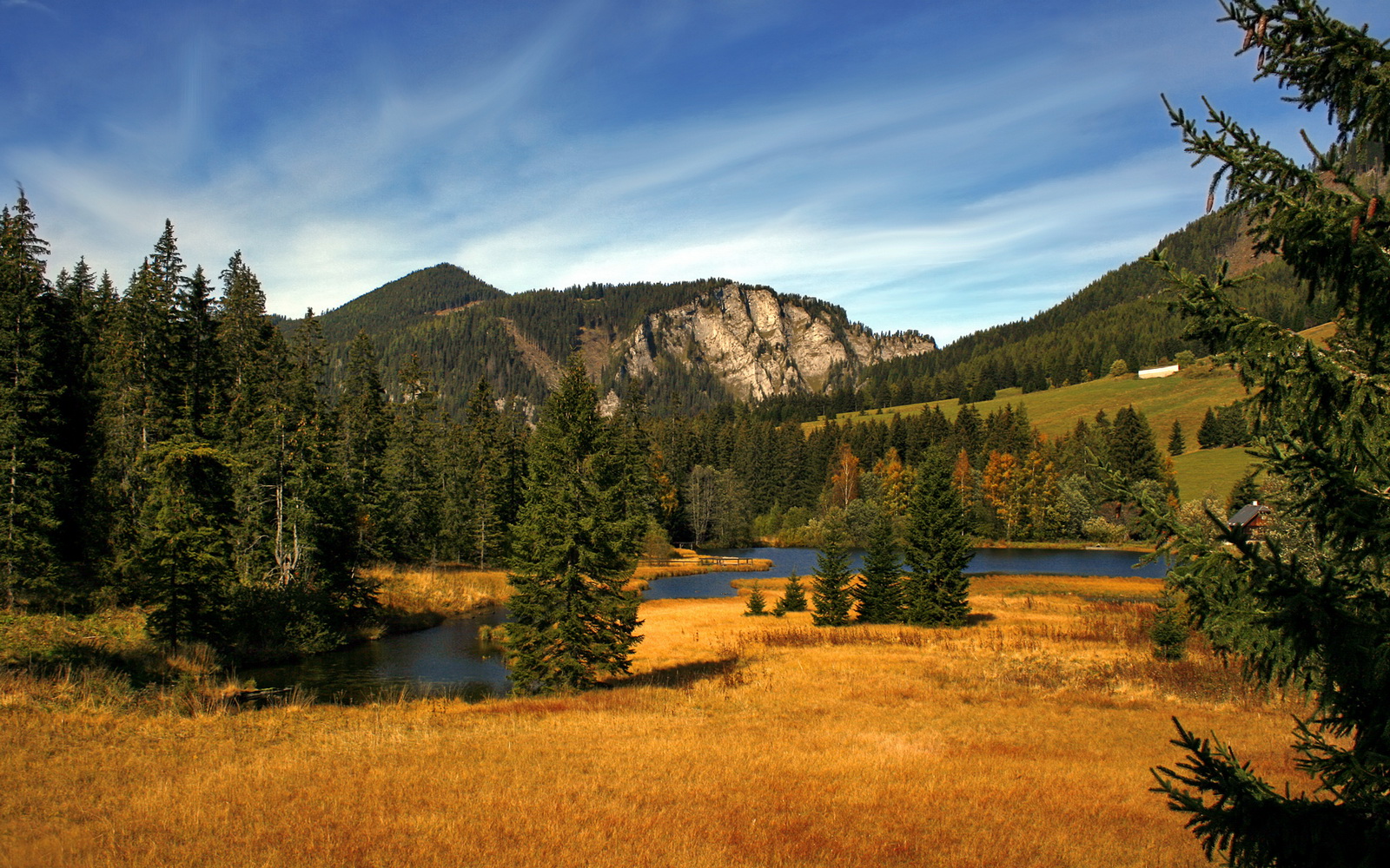九游娱乐登录-国民队射手进球数持续攀升，国民队对里斯本竞技