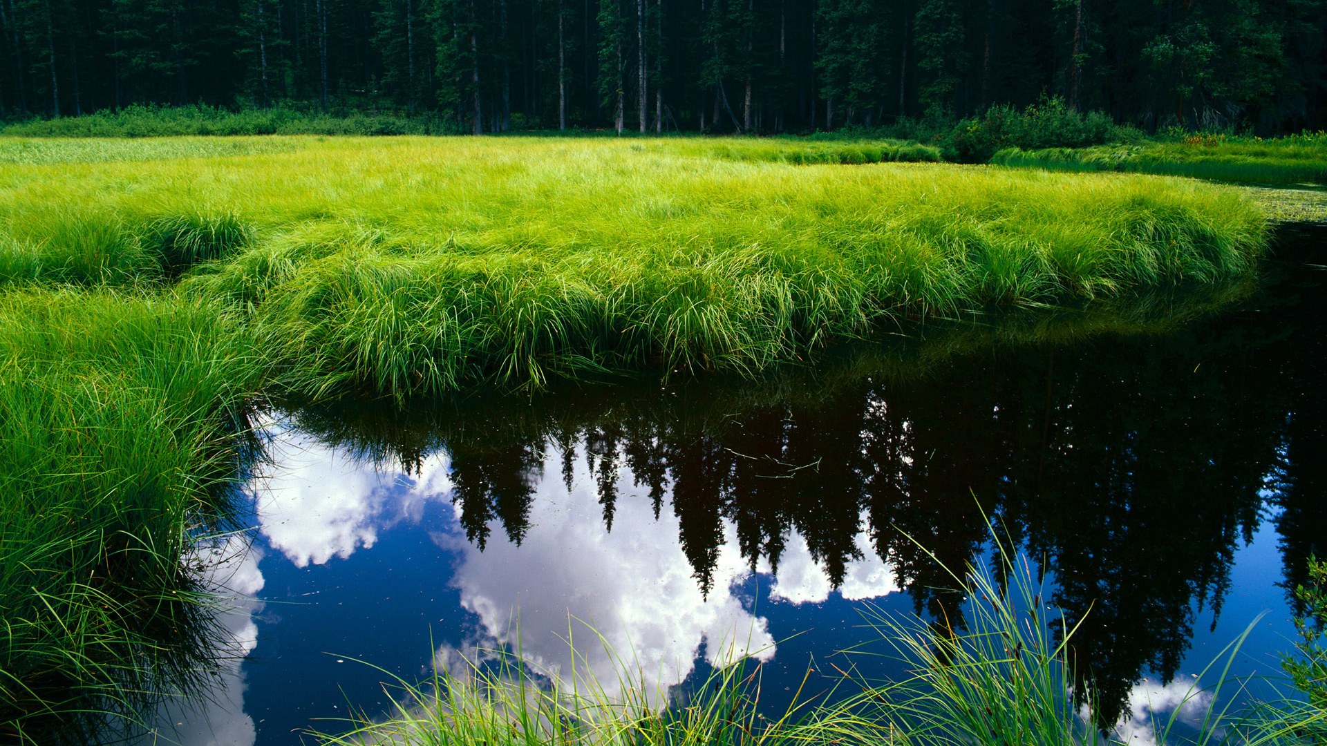 王者荣耀国际赛事备受期待,王者荣耀国际比赛什么时候开始