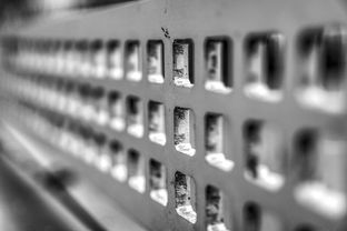 九游娱乐app下载-青少年体质监测结果区域对比研究，青少年健康体质检测中心