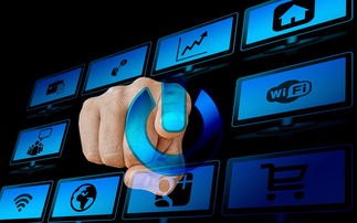 九游app下载-体育新闻中心共建体育新闻编辑智能校对系统，体育新闻报道范文大全