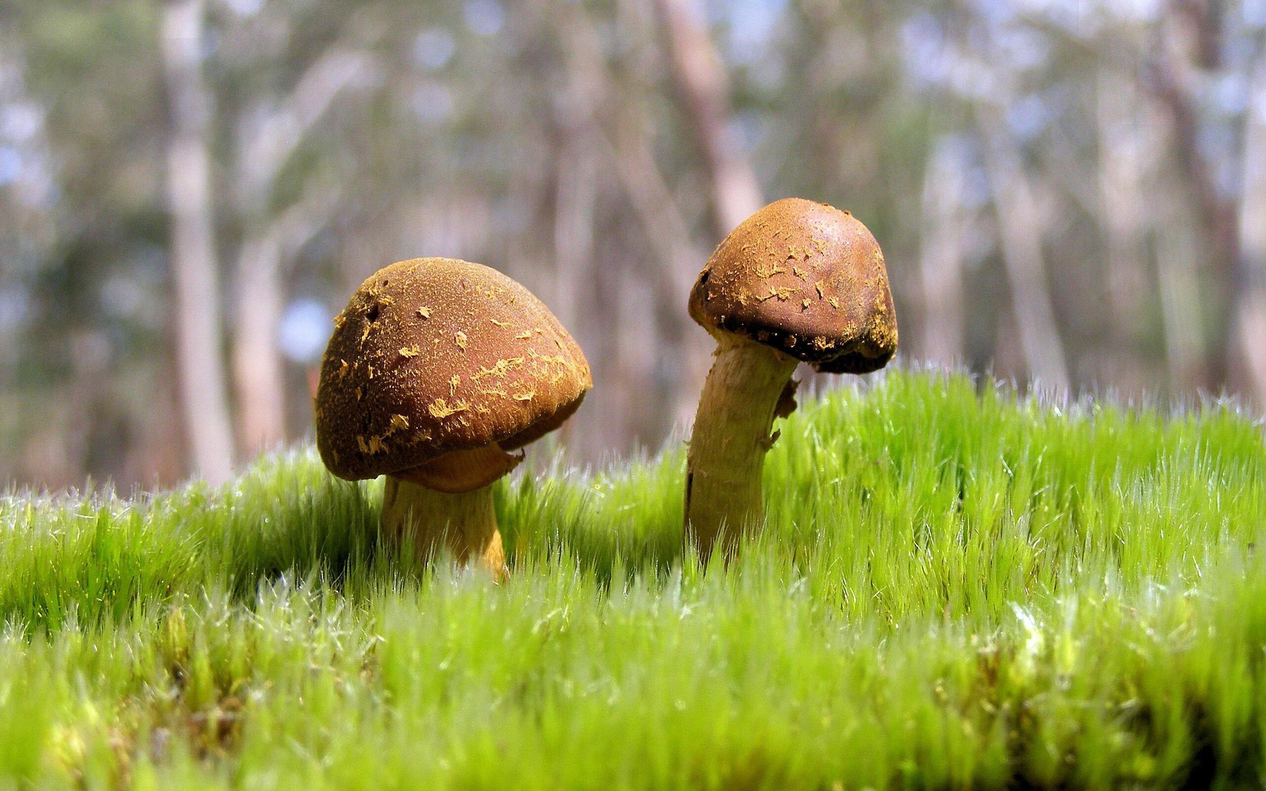 游登录-全运会视觉设计凸显地域文化特色，全运会视觉设计凸显地域文化特色