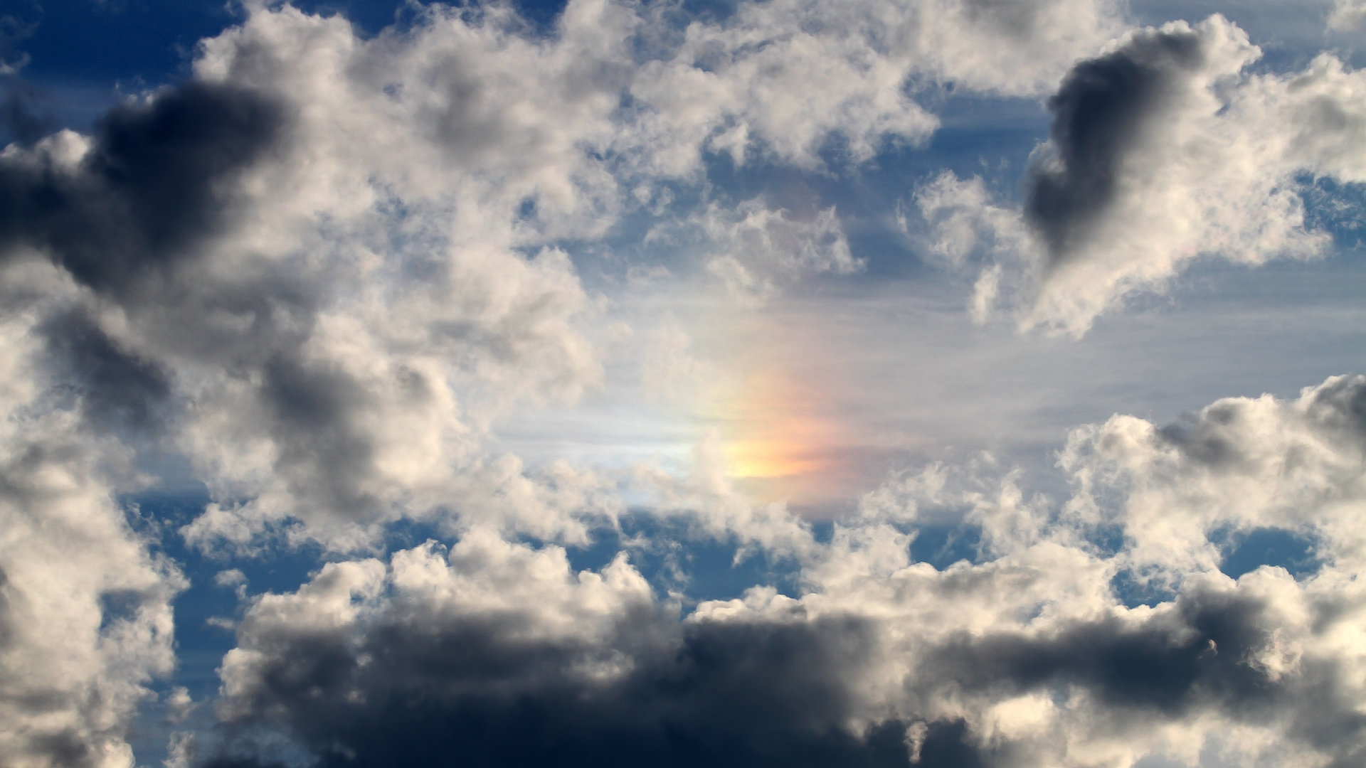 女子自由泳冲刺阶段配速大幅反超,女子自由泳运动员标准