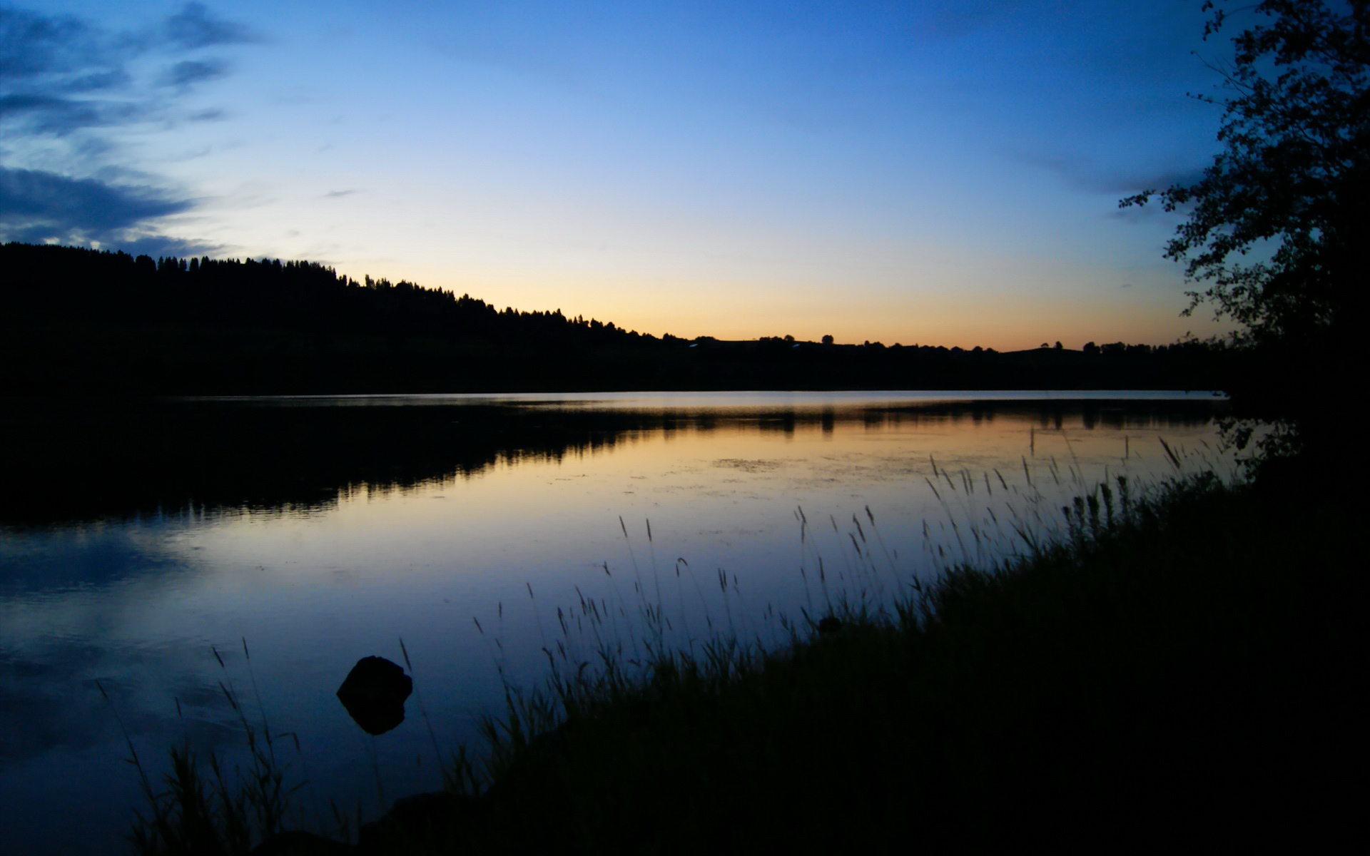 九游官网-职业联赛上座率下降是否反映观赛疲劳，lpl上座率
