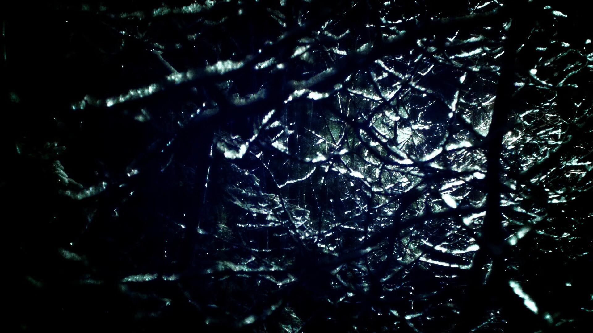 年轻选手崭露头角,未来潜力巨大,最年轻职业选手