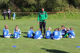 9体育-欧洲杯总冠军之争：战术智慧与个人能力的较量，欧洲杯冠军百度百科