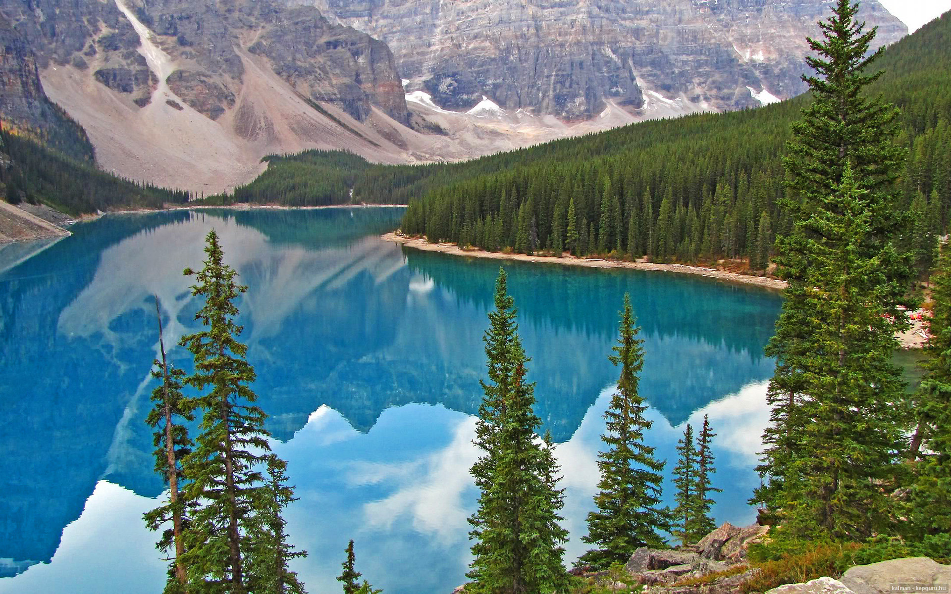 九游体育娱乐-荷兰女队蝶泳速度惊艳全场，荷兰女游泳运动员